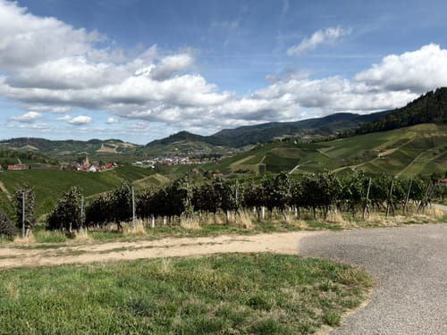 Ortenauer Sagenrundwege: Kutzenstein