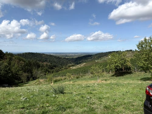 Ortenauer Sagenrundwege: Kutzenstein