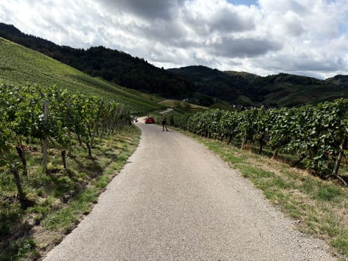 Ortenauer Sagenrundwege: Kutzenstein