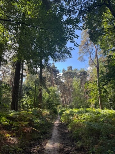 Walk of Wisdom Etappe 3: Kranenburg - Plasmolen