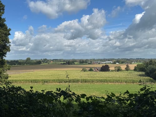 Walk of Wisdom Etappe 3: Kranenburg - Plasmolen