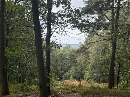 Walk of Wisdom Etappe 3: Kranenburg - Plasmolen