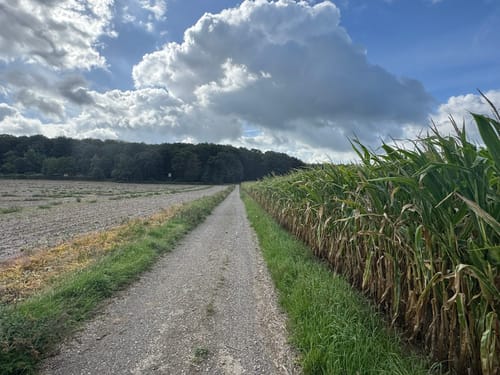 Walk of Wisdom Etappe 3: Kranenburg - Plasmolen