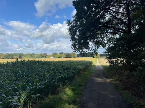 Walk of Wisdom Etappe 3: Kranenburg - Plasmolen