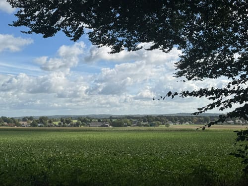 Walk of Wisdom Etappe 3: Kranenburg - Plasmolen