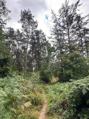 Walk of Wisdom Etappe 3: Kranenburg - Plasmolen