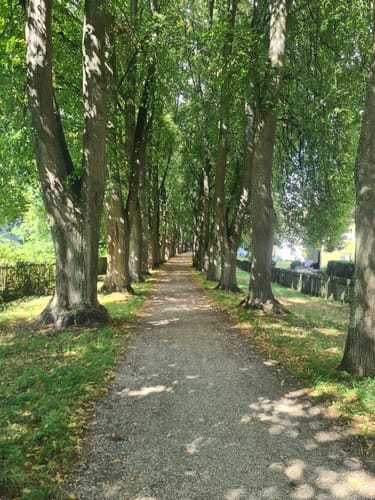 Romantische Straße Etappe 13: Nördlingen - Mönchsdeggingen