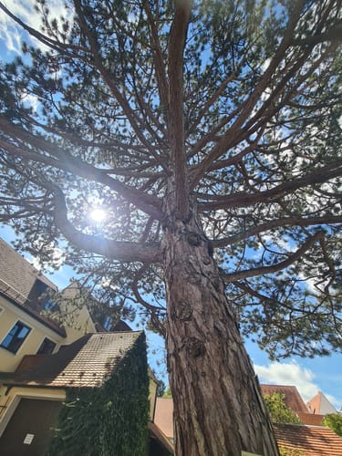 Romantische Straße Etappe 13: Nördlingen - Mönchsdeggingen
