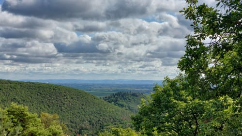 Wachenheim Rundweg Nr. 2