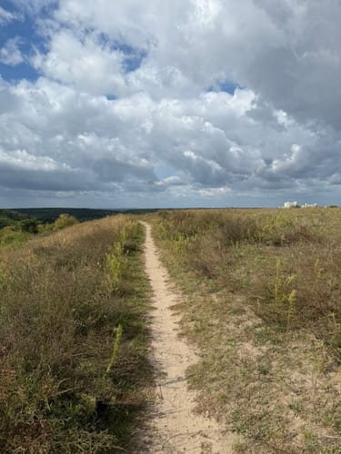 Grunewald: Drachenberg - Teufelsberg