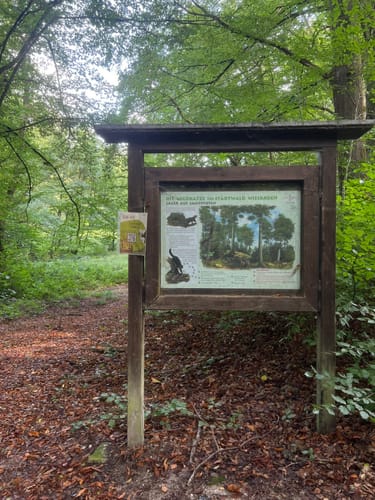 Wiesbaden über Neroberg und Leichtweißhöhle