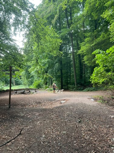 Wiesbaden über Neroberg und Leichtweißhöhle