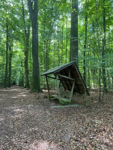 Wiesbaden über Neroberg und Leichtweißhöhle