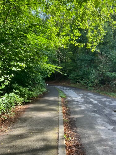Wiesbaden über Neroberg und Leichtweißhöhle