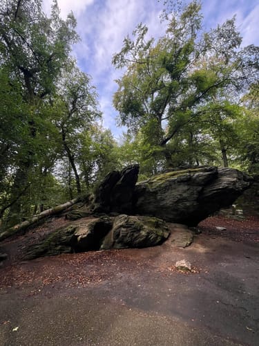 Wiesbaden über Neroberg und Leichtweißhöhle