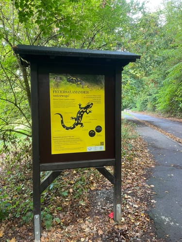 Wiesbaden über Neroberg und Leichtweißhöhle