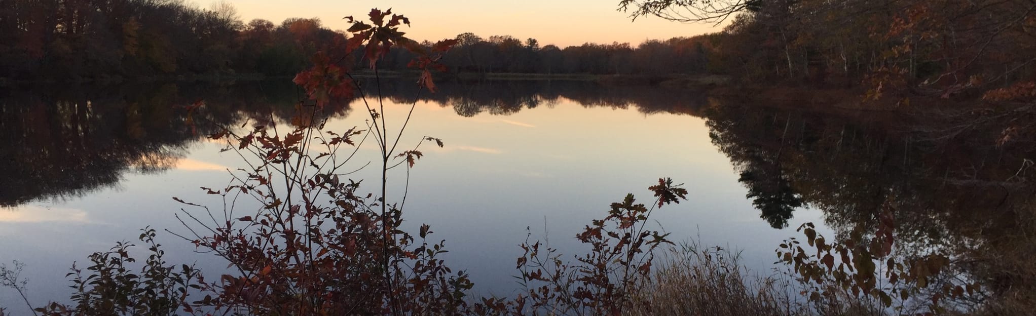 3 Mile River Dam Trail 465 Reviews, Map Massachusetts AllTrails