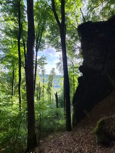 Felsenweg 6 - Teufelsschlucht (NaturWanderPark deluxe)