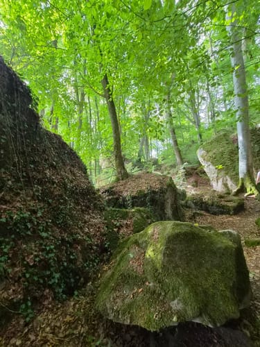 Felsenweg 6 - Teufelsschlucht (NaturWanderPark deluxe)