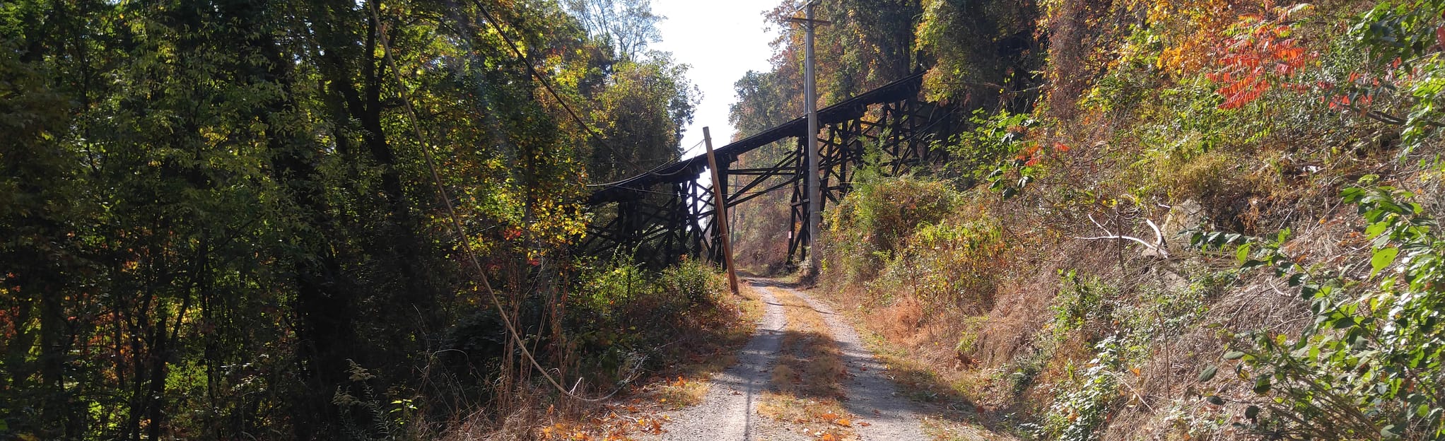 Hardy Trail Tennessee 87 Reviews - EyJidWNrZXQiOiJhc3NldHMuYWxsdHJhaWxzLmNvbSIsImtleSI6InVwbG9hZHMvcGhvdG8vaW1hZ2UvMTM3NDI0MzcvZjA5M2UxMzA5YWQ3ZjFiNTI3NGRiYjcxYzkxZDk0N2QuanBnIiwiZWRpdHMiOnsidG9Gb3JtYXQiOiJqcGVnIiwicmVzaXplIjp7IndpZHRoIjoyMDQ0LCJoZWlnaHQiOjYyNCwiZml0IjoiY292ZXIifSwicm90YXRlIjpudWxsLCJqcGVnIjp7InRyZWxsaXNRdWFudGlzYXRpb24iOnRydWUsIm92ZXJzaG9vdERlcmluZ2luZyI6dHJ1ZSwib3B0aW1pc2VTY2FucyI6dHJ1ZSwicXVhbnRpc2F0aW9uVGFibGUiOjN9fX0=