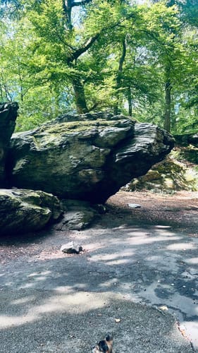 Wiesbaden über Neroberg und Leichtweißhöhle