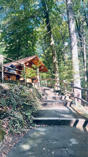 Wiesbaden über Neroberg und Leichtweißhöhle