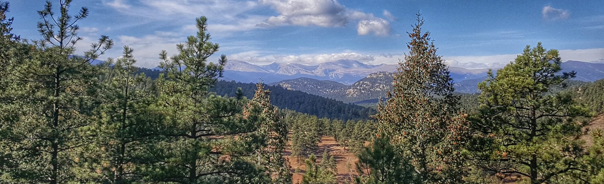 Picnic, West Ridge, Bear Creek and Meadow View Loop Colorado AllTrails