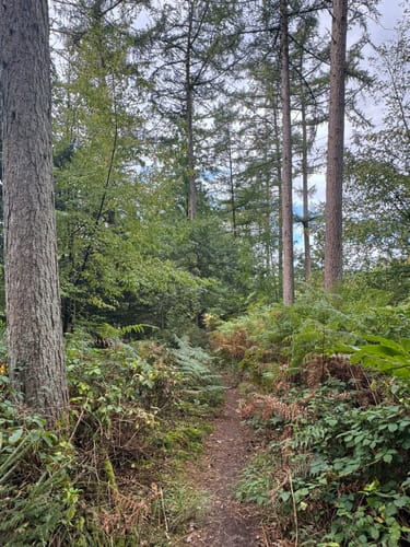 Walk of Wisdom Etappe 3: Kranenburg - Plasmolen