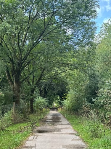 Walk of Wisdom Etappe 3: Kranenburg - Plasmolen