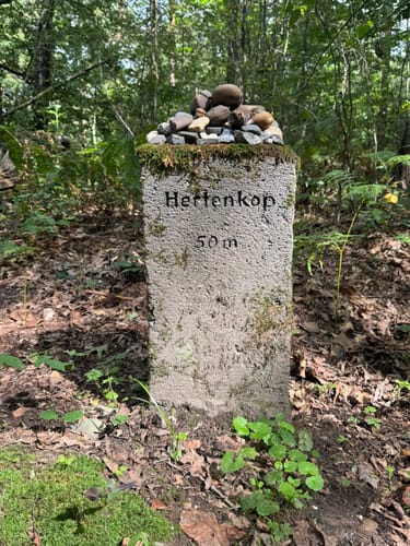 Walk of Wisdom Etappe 3: Kranenburg - Plasmolen