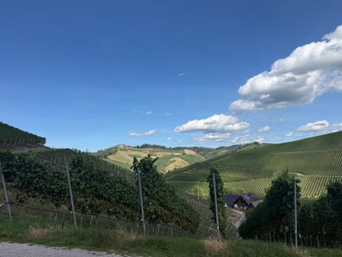Durbacher Weitblick (Premiumwanderweg)
