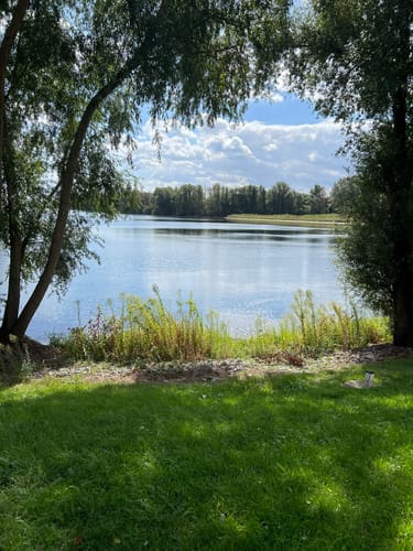 Elfrather See