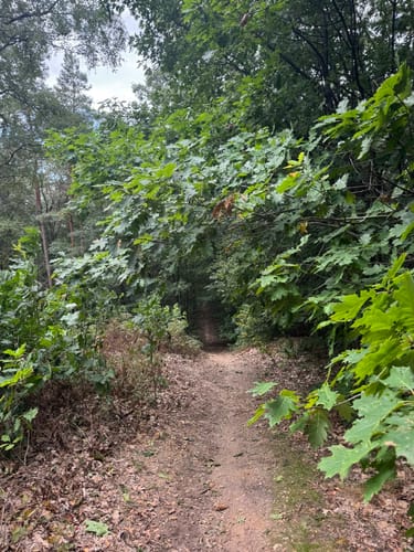 Walk of Wisdom Etappe 3: Kranenburg - Plasmolen