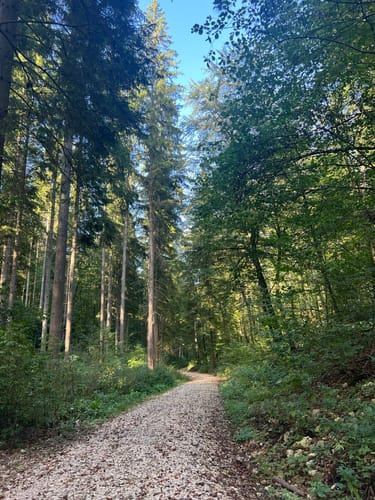 Vom Hohlen Felsen nach Sotzenhausen