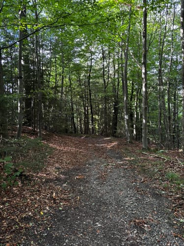 Von Wolfshagen zur Graner Hütte