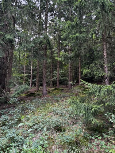 Von Wolfshagen zur Graner Hütte