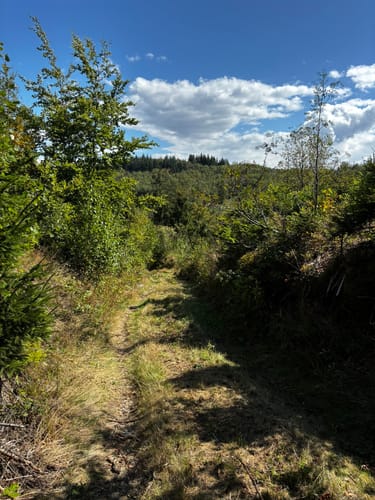 Von Wolfshagen zur Graner Hütte