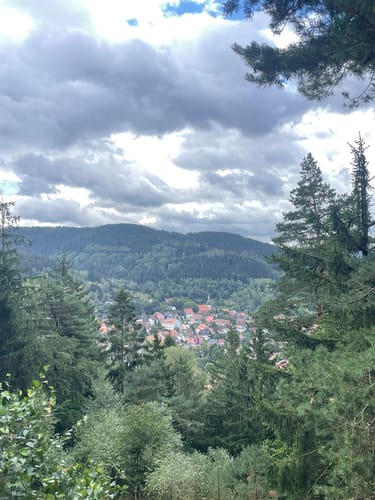 Innerstetalsperre und Hügeltour