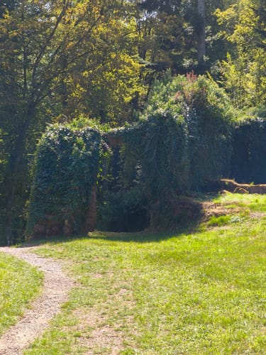Rundwanderweg Amorbach 7