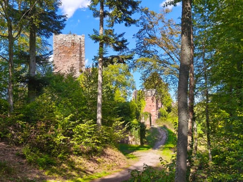 Rundwanderweg Amorbach 7