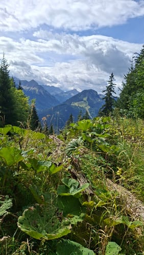 Bad Hindelanger Tobelrunde