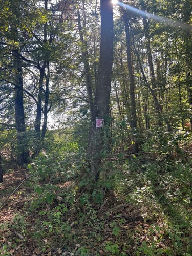 Vom Hohlen Felsen nach Sotzenhausen