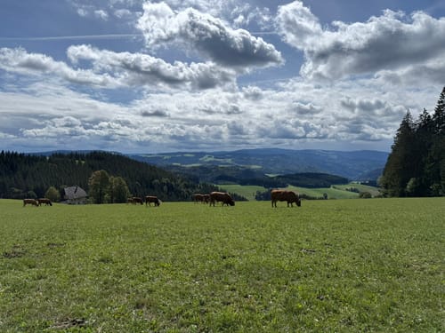 Sankt Peter - Kapfenberg - Zweribachfälle