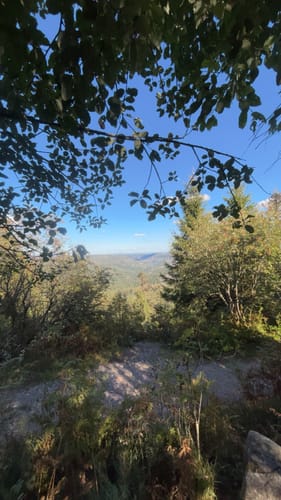 Von Ruhestein zum Wildsee