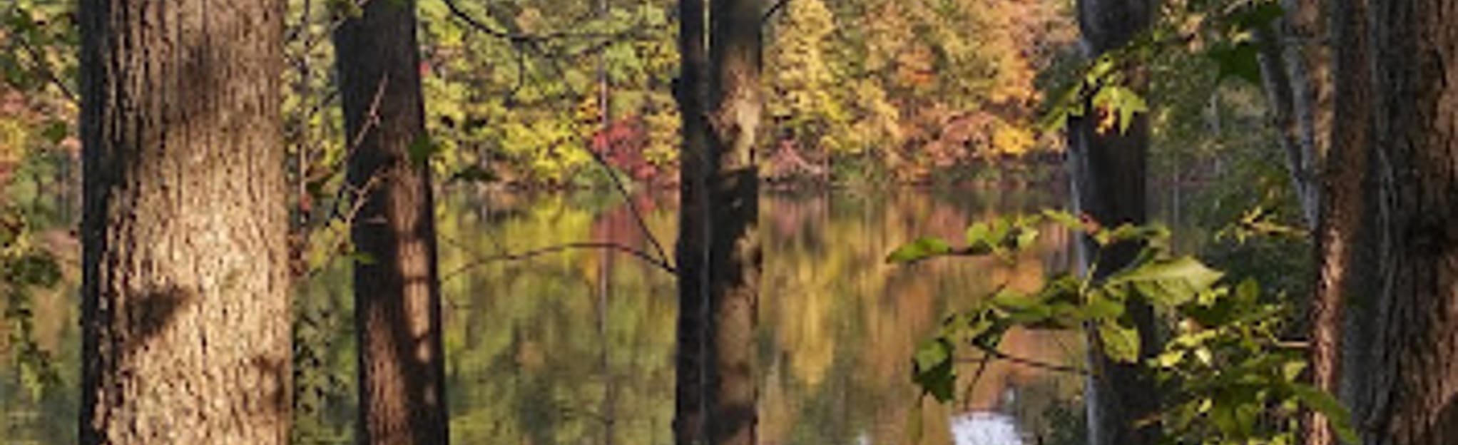 Tour de Moore Classic 11 Reviews, Map North Carolina AllTrails