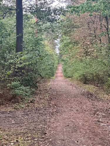 Jammertal Rundweg ab Katenkreuz Parkplatz