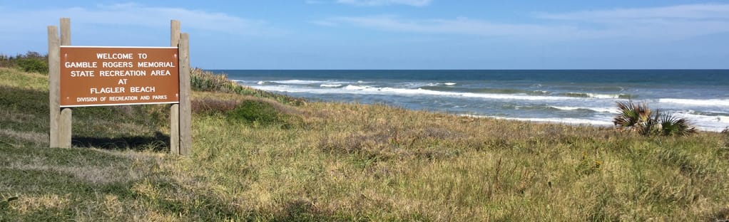 where are dogs allowed on flagler beach