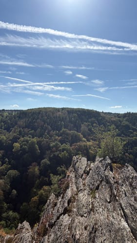 Altlayer Schweiz (Traumschleife)