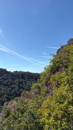 Altlayer Schweiz (Traumschleife)