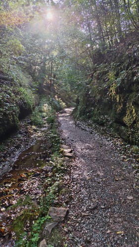 Schluchtentour bei Eisenach